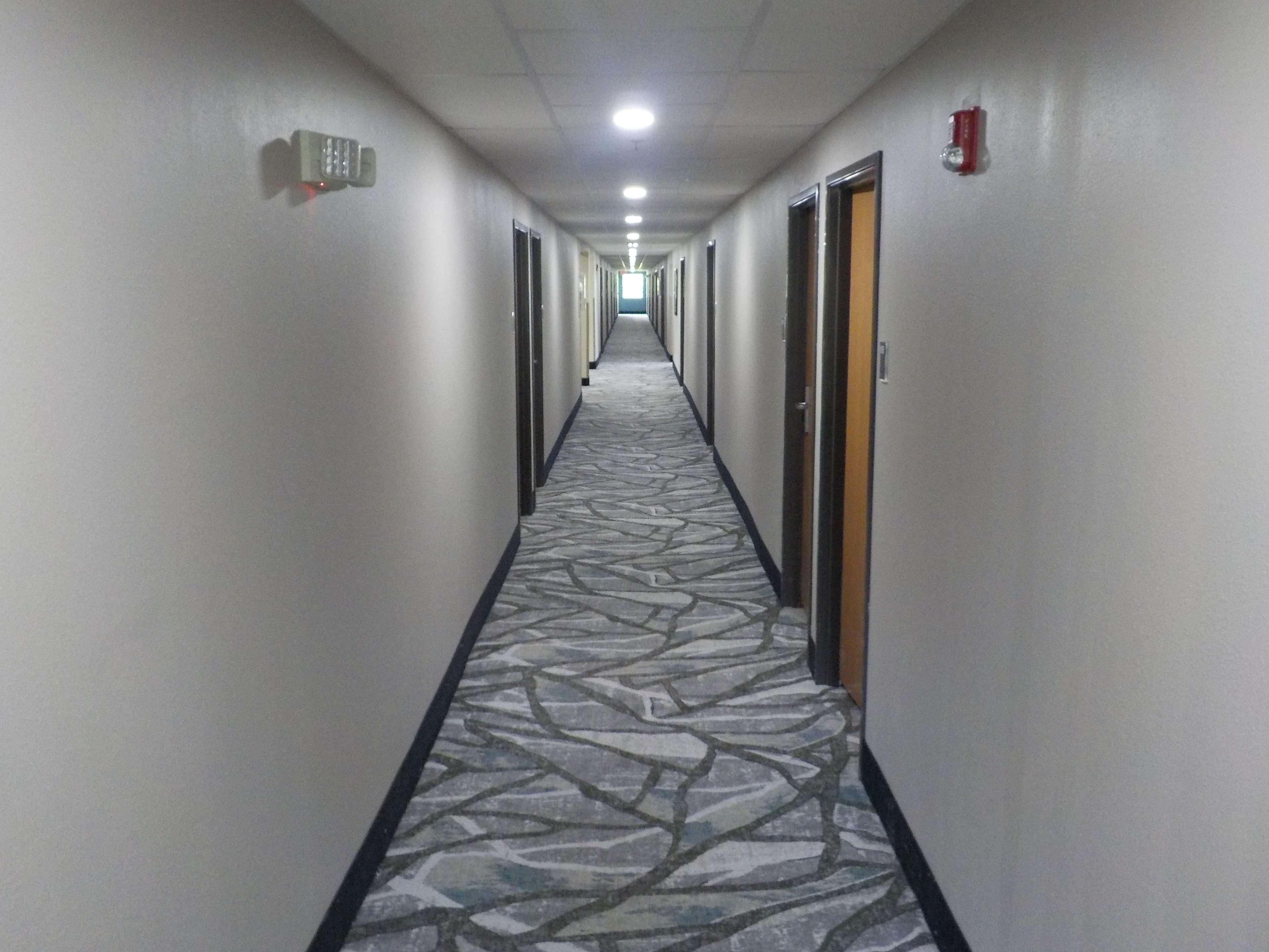 Mj Inn And Suites Marienville Interiør bilde